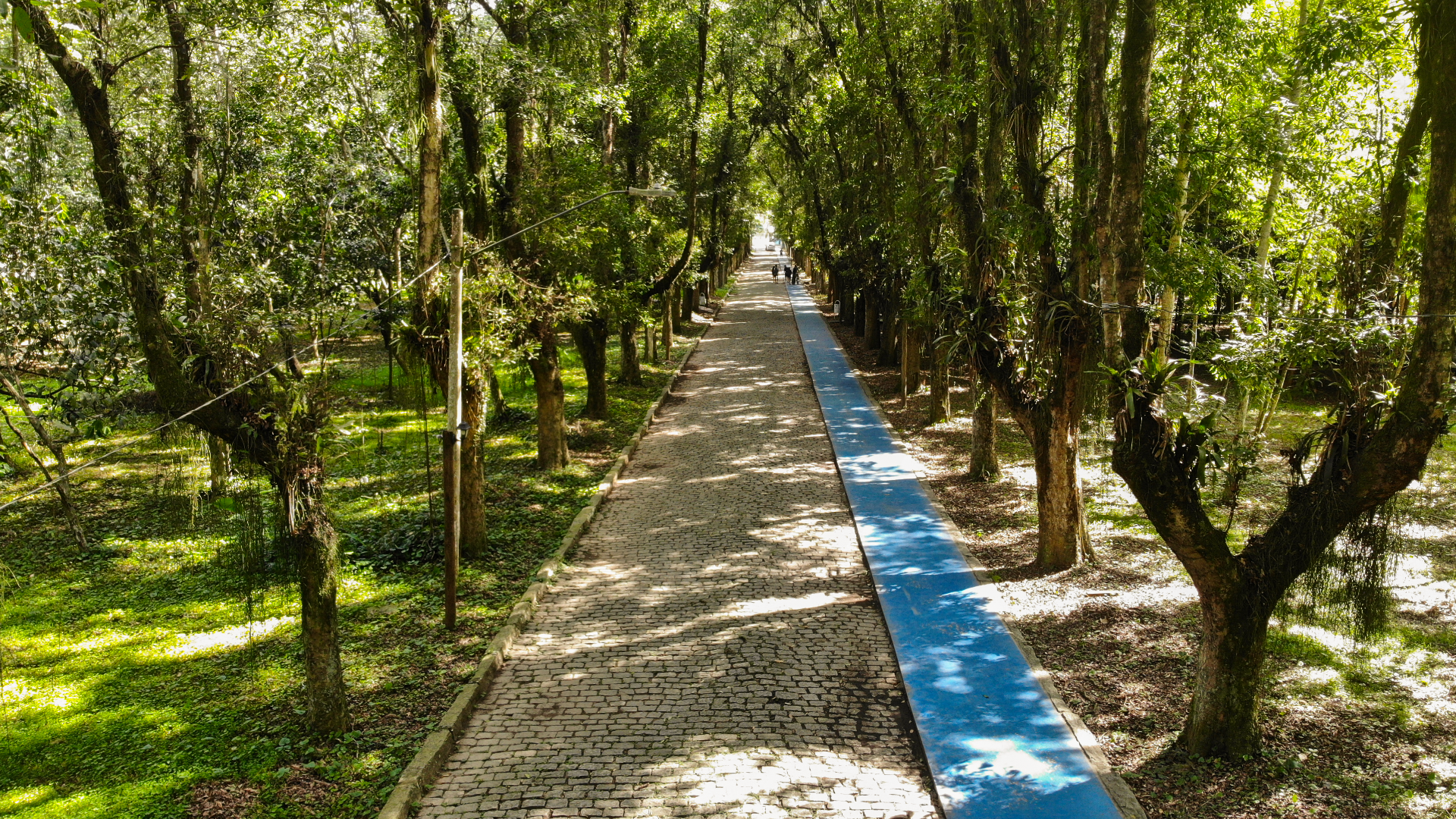 Capa do ponto turístico Bosque da Fábrica